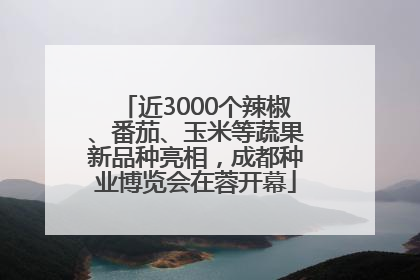 近3000个辣椒、番茄、玉米等蔬果新品种亮相，成都种业博览会在蓉开幕