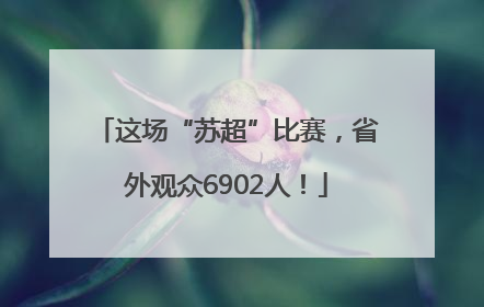 这场“苏超”比赛，省外观众6902人！