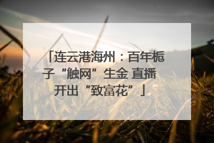 连云港海州：百年栀子“触网”生金 直播开出“致富花”