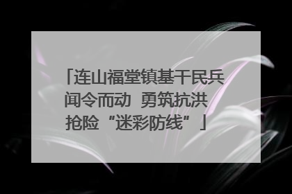 连山福堂镇基干民兵闻令而动  勇筑抗洪抢险“迷彩防线”