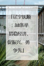 辽宁抚顺：38条举措稳经济、促振兴、勇争先