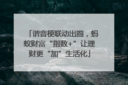 谐音梗联动出圈，蚂蚁财富“指数+”让理财更“加”生活化