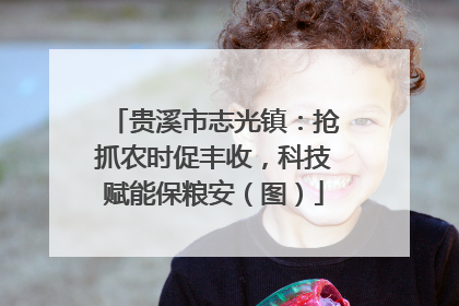 贵溪市志光镇：抢抓农时促丰收，科技赋能保粮安（图）