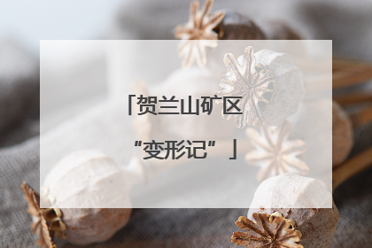贺兰山矿区“变形记”