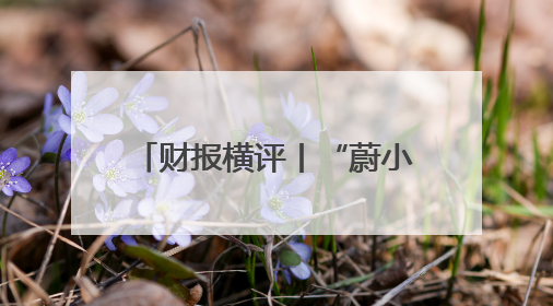 财报横评丨“蔚小理零”一季报出炉：小鹏摘得交付量冠军，理想最能赚钱，零跑迎头赶上，蔚来还在调整