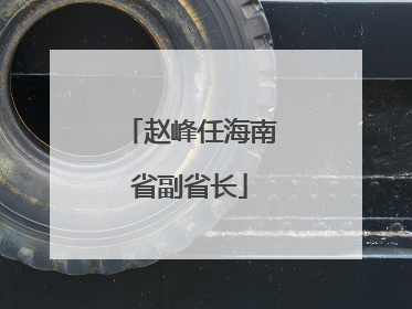 赵峰任海南省副省长