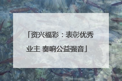 资兴福彩:表彰优秀业主 奏响公益强音
