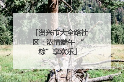 资兴市大全路社区：浓情端午 “粽”享欢乐