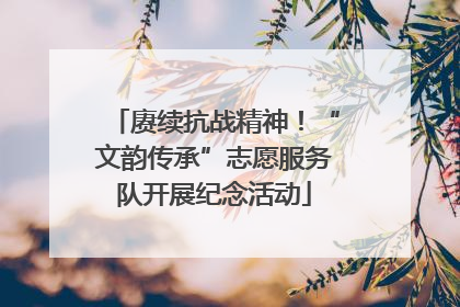 赓续抗战精神！“文韵传承”志愿服务队开展纪念活动