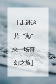 走进这片“海”来一场奇幻之旅