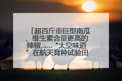 超百斤重巨型南瓜、维生素含量更高的辣椒……“太空味道”在航天育种试验田里拔节生长