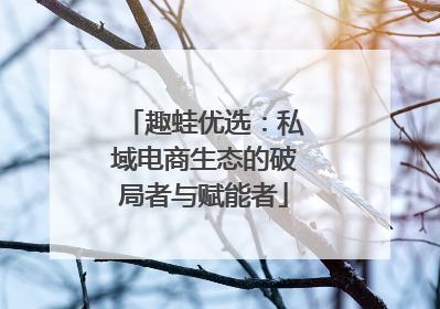 趣蛙优选：私域电商生态的破局者与赋能者