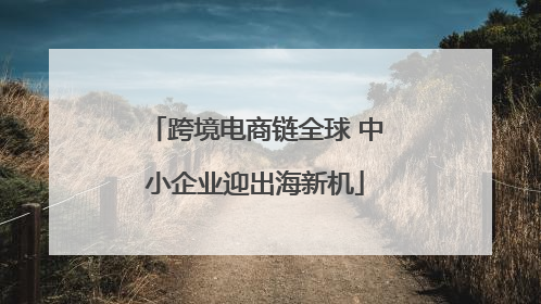 跨境电商链全球 中小企业迎出海新机
