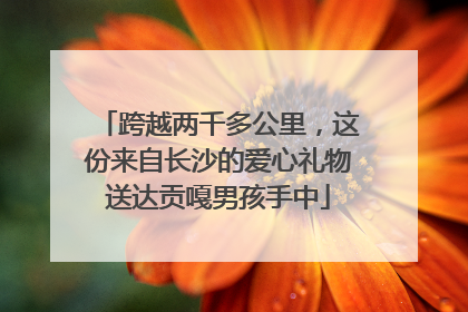 跨越两千多公里，这份来自长沙的爱心礼物送达贡嘎男孩手中