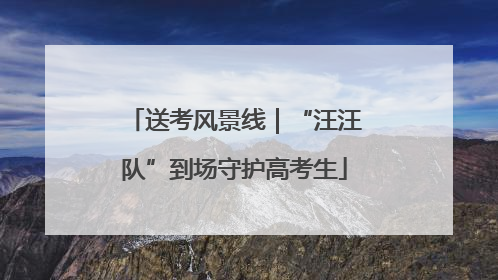 送考风景线｜“汪汪队”到场守护高考生