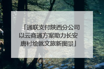 通联支付陕西分公司以云商通方案助力长安唐村绘就文旅新图景