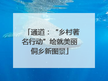 通道：“乡村著名行动”绘就美丽侗乡新图景