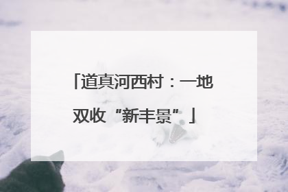 道真河西村：一地双收“新丰景”