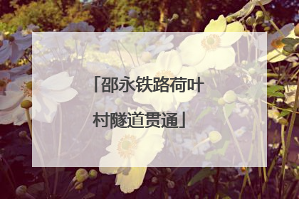 邵永铁路荷叶村隧道贯通
