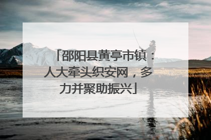 邵阳县黄亭市镇：人大牵头织安网，多力并聚助振兴