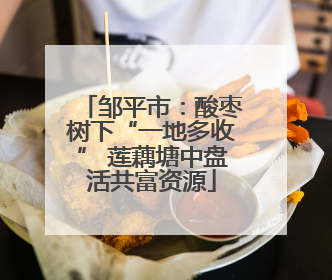 邹平市：酸枣树下“一地多收” 莲藕塘中盘活共富资源