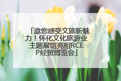 邀您感受文旅新魅力！怀化文化旅游业主题展馆亮相RCEP经贸博览会