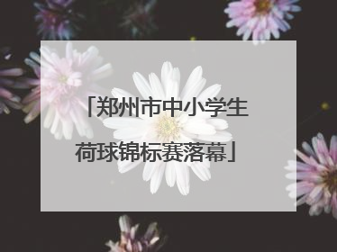 郑州市中小学生荷球锦标赛落幕