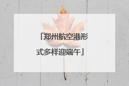 郑州航空港形式多样迎端午