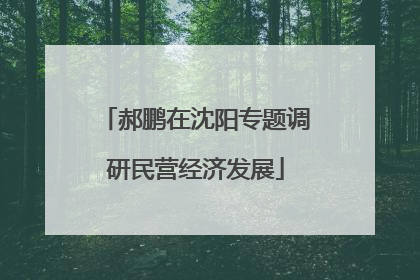 郝鹏在沈阳专题调研民营经济发展