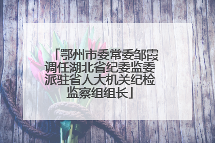 鄂州市委常委邹霞调任湖北省纪委监委派驻省人大机关纪检监察组组长