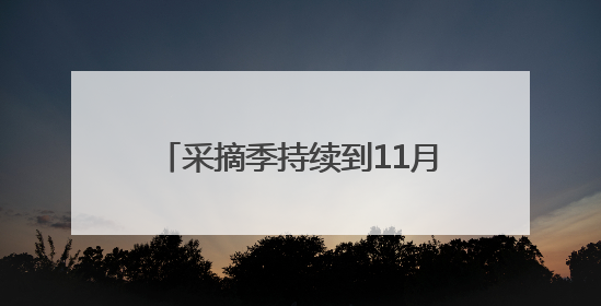 采摘季持续到11月，谷城县庙滩镇邓家湾村的蜜桃丰收啦！