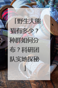 野生大熊猫有多少？种群如何分布？科研团队实地探秘