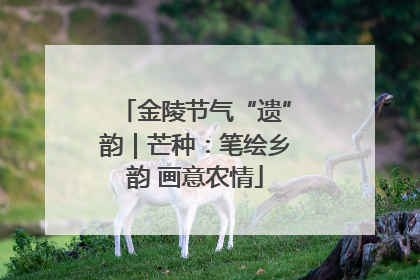 金陵节气“遗”韵｜芒种：笔绘乡韵 画意农情