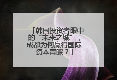 韩国投资者眼中的“未来之城”，成都为何赢得国际资本青睐？