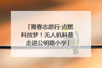 青春志愿行 点燃科技梦！无人机科普走进公明路小学