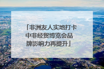 非洲友人实地打卡 中非经贸博览会品牌影响力再提升