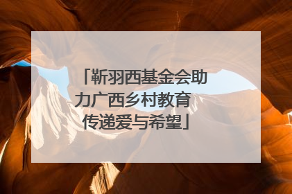 靳羽西基金会助力广西乡村教育 传递爱与希望