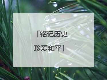 铭记历史 珍爱和平