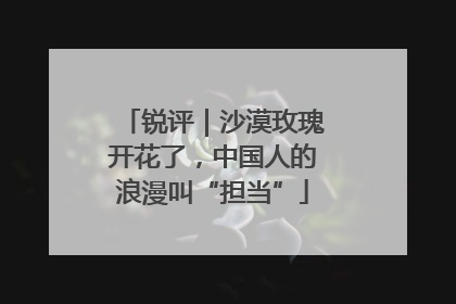 锐评｜沙漠玫瑰开花了，中国人的浪漫叫“担当”