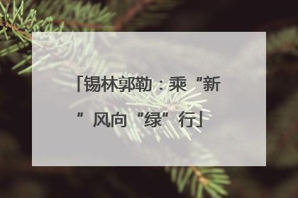 锡林郭勒：乘“新”风向“绿”行