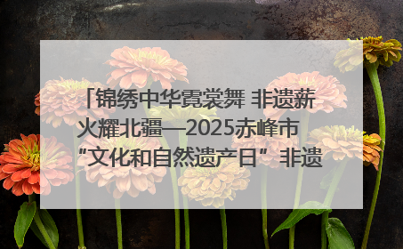 锦绣中华霓裳舞 非遗薪火耀北疆—2025赤峰市“文化和自然遗产日”非遗宣传展示活动纪实