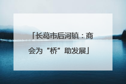 长葛市后河镇：商会为“桥”助发展