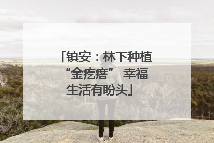 镇安：林下种植“金疙瘩” 幸福生活有盼头