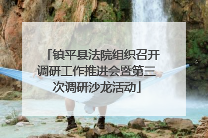 镇平县法院组织召开调研工作推进会暨第三次调研沙龙活动