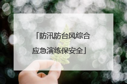 防汛防台风综合应急演练保安全