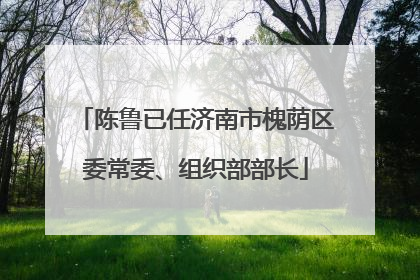 陈鲁已任济南市槐荫区委常委、组织部部长