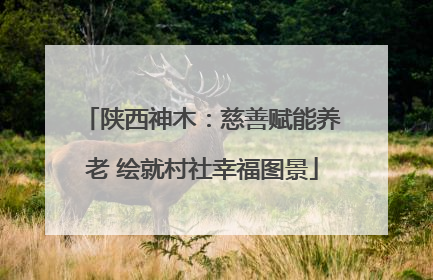 陕西神木：慈善赋能养老 绘就村社幸福图景