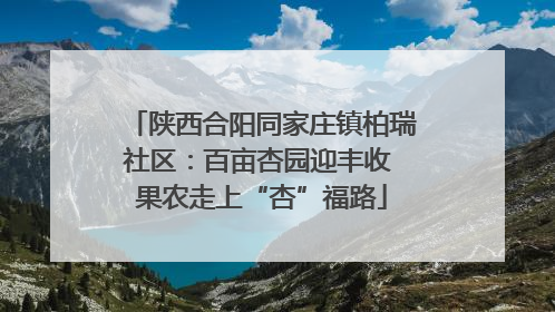 陕西合阳同家庄镇柏瑞社区：百亩杏园迎丰收 果农走上“杏”福路