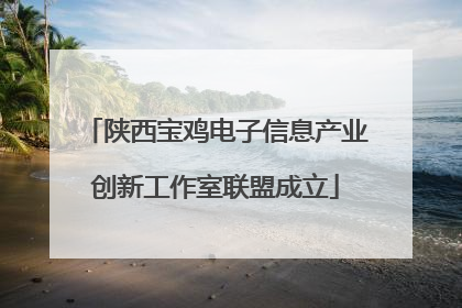 陕西宝鸡电子信息产业创新工作室联盟成立