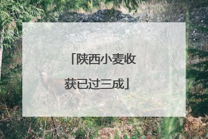 陕西小麦收获已过三成